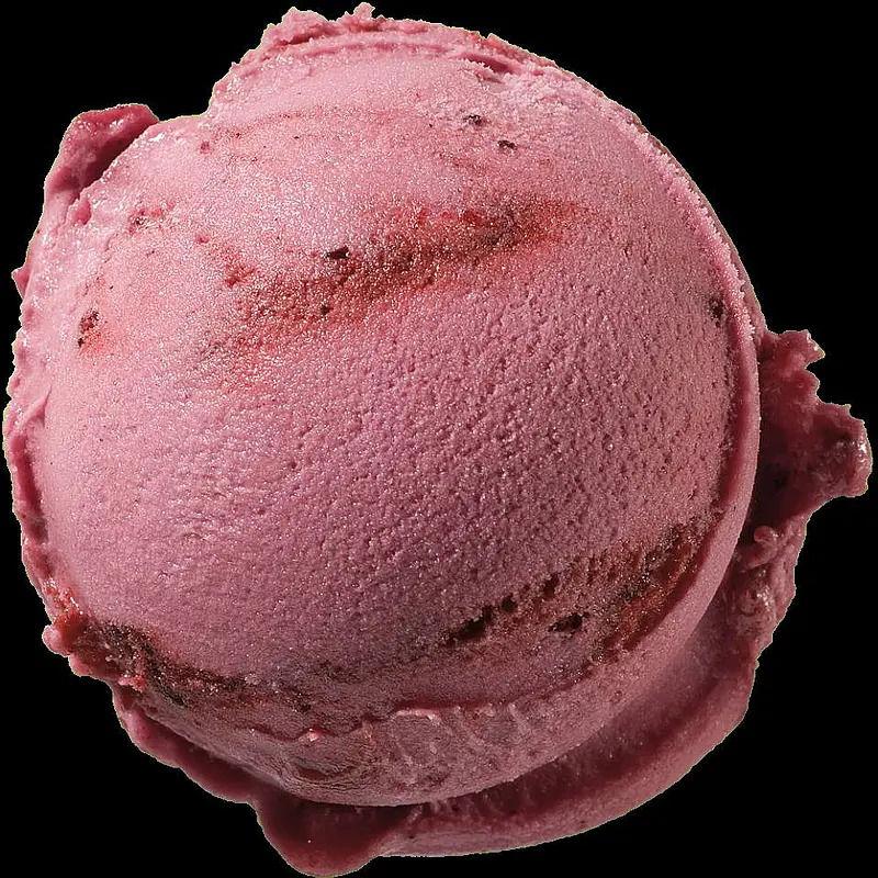 bosbes ijsbol